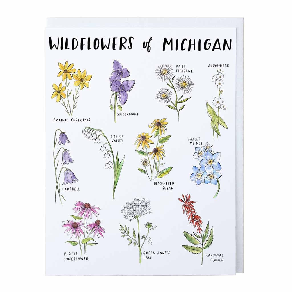 Michigan Wildflowers Everyday Card