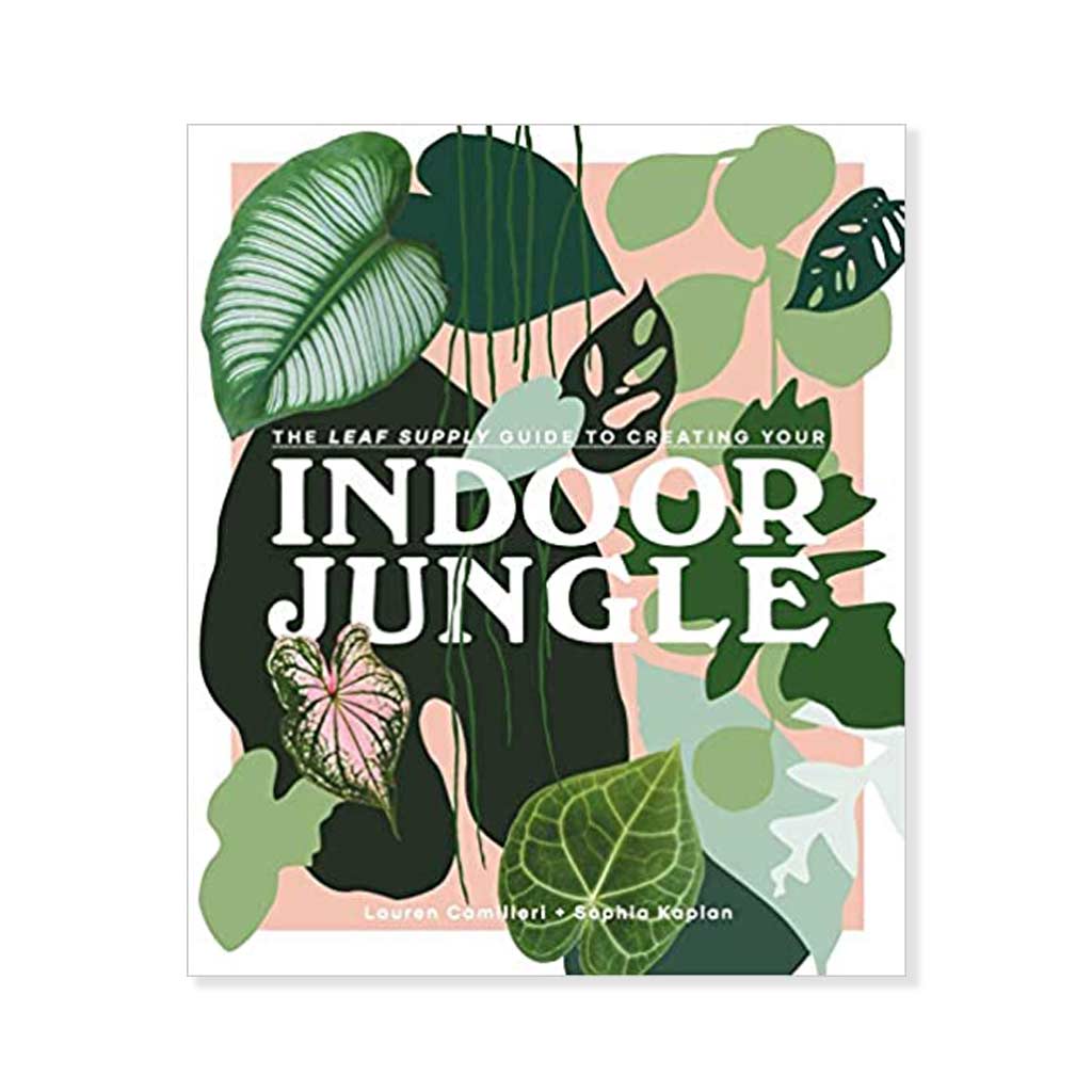 Indoor Jungle