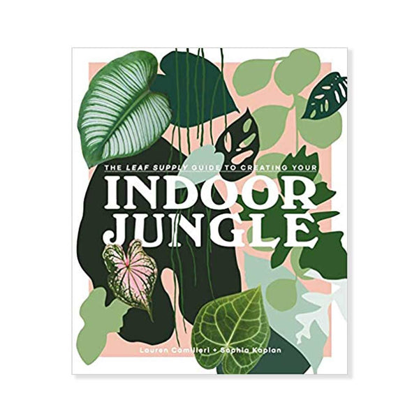Indoor Jungle