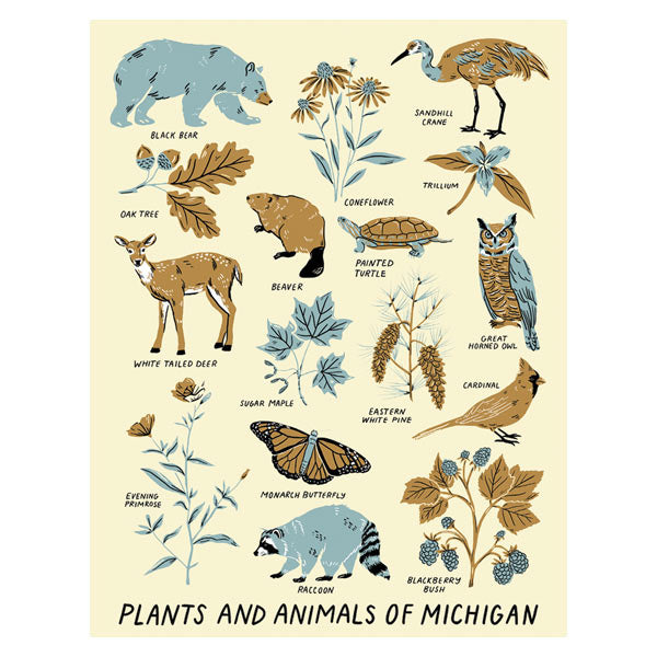 Animals and Plants of Michigan 18" x 24" Print