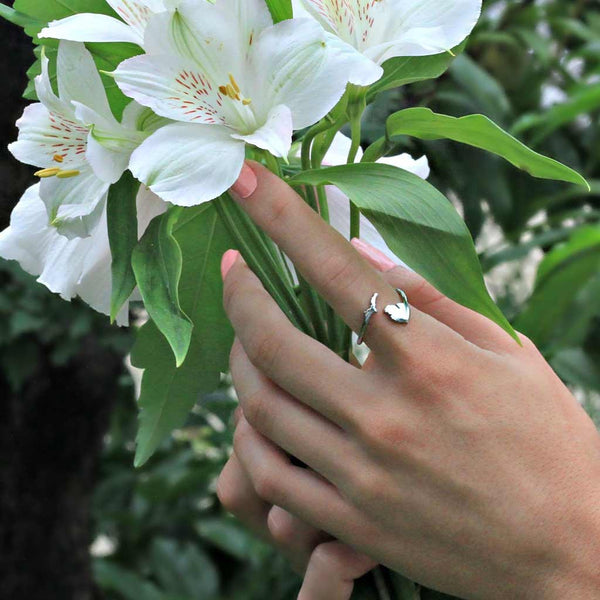 Michigan Ring