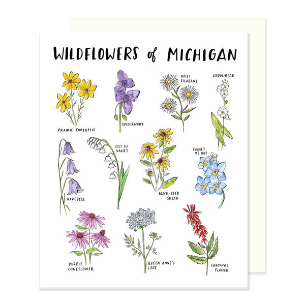 Wildflowers of the Northwest Illustration Flower Print Art Print