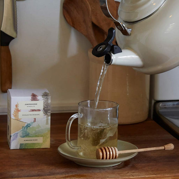 Douglas Fir & Rosehips Tea