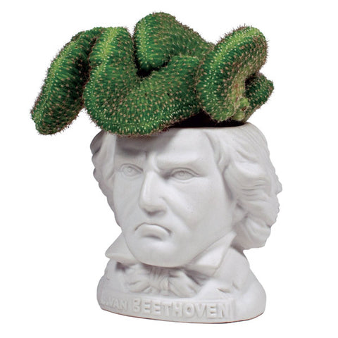 Ludwig Von Beethoven Planter