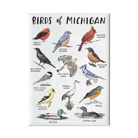 Birds of Michigan Magnet