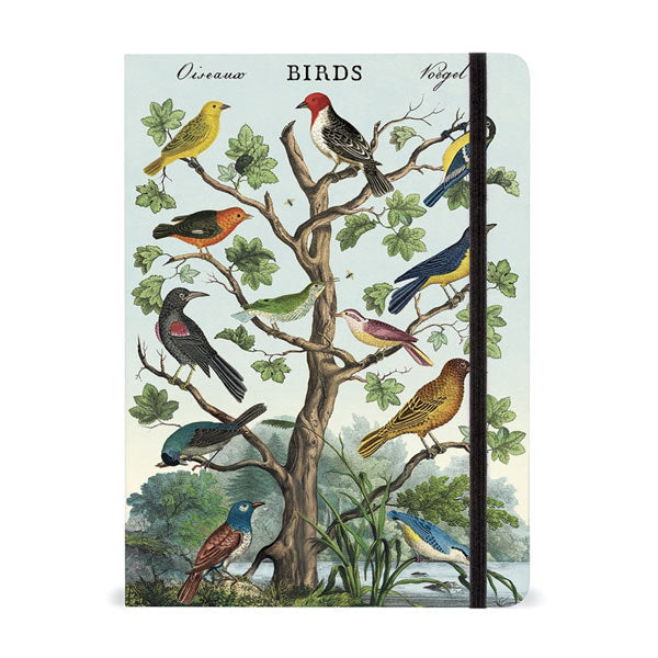 Cavallini Notebooks - 6" x 8"