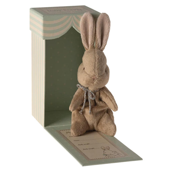 My First Bunny In Box
