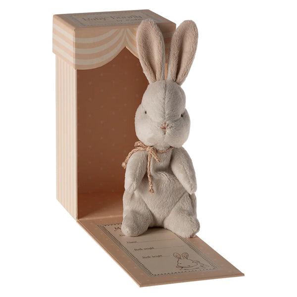 My First Bunny In Box