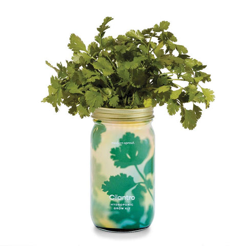 Herb Garden Jar Planter Kits - City Bird