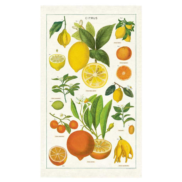 Cavallini Tea Towel