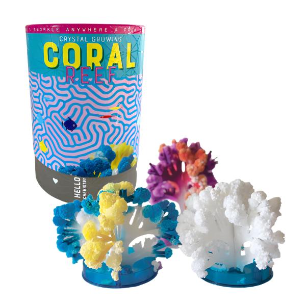 Crystal Growing Coral Reef