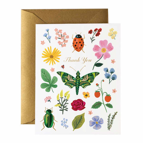 Curio Thank You Card