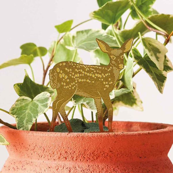 Plant Animals