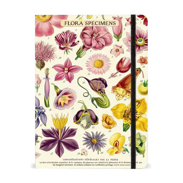 Cavallini Notebooks - 6" x 8"