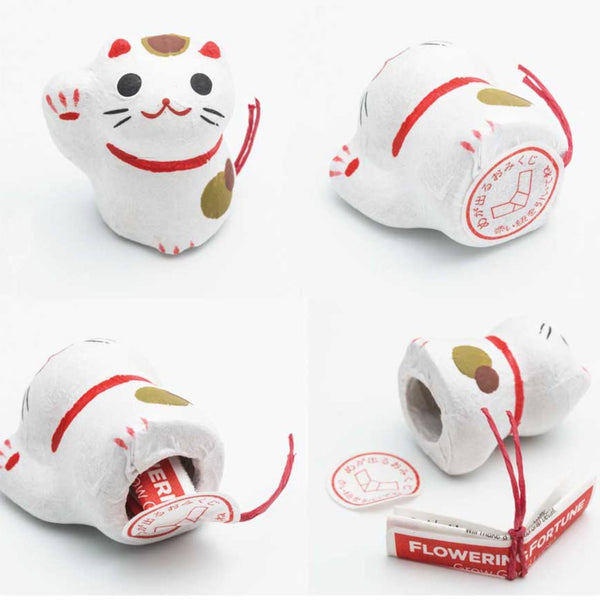 Flowering Fortune - Cats