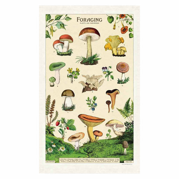 Cavallini Tea Towel