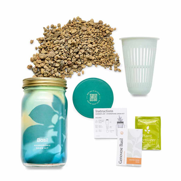 pint jar hydroponic planter Garden Jar, Cilantro