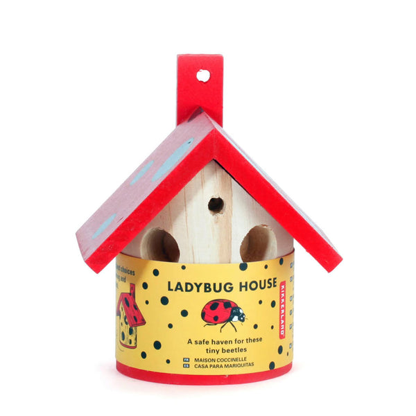 Ladybug House – City Bird