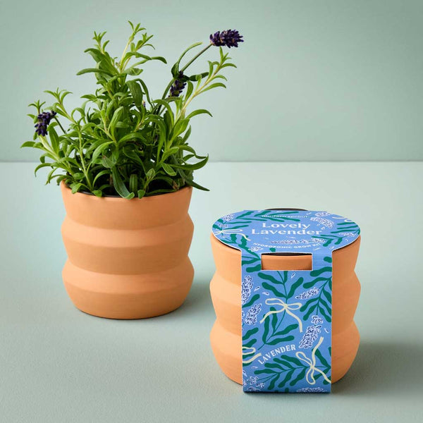 Tiny Terracotta Grow Kit