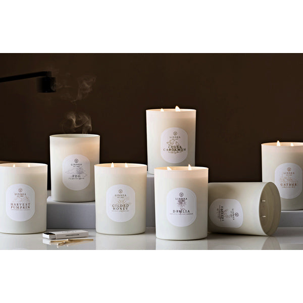 Linnea Lights Fall Collection