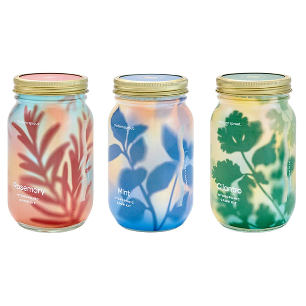 Herb Garden Jar Planter Kits