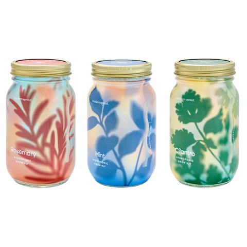 Herb Garden Jar Planter Kits