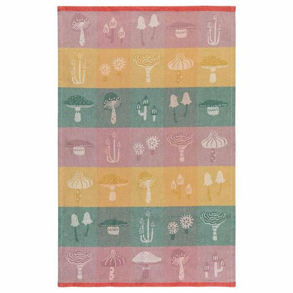 Now Designs Jacquard Dish Towel