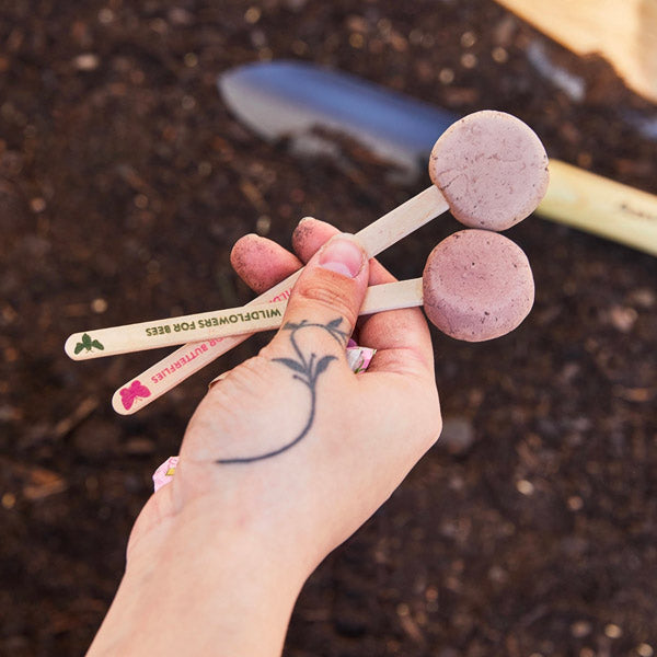 Pollinator Seed Pops