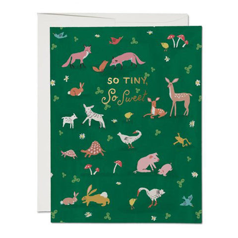 Tiny Animals Foil Baby Card