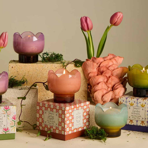 Tulip Glass Candle -  5.5 oz