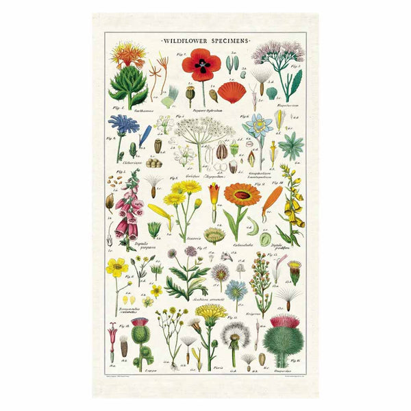 Cavallini Tea Towel