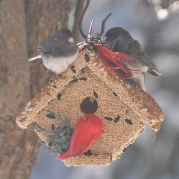 Wren Casita Christmas