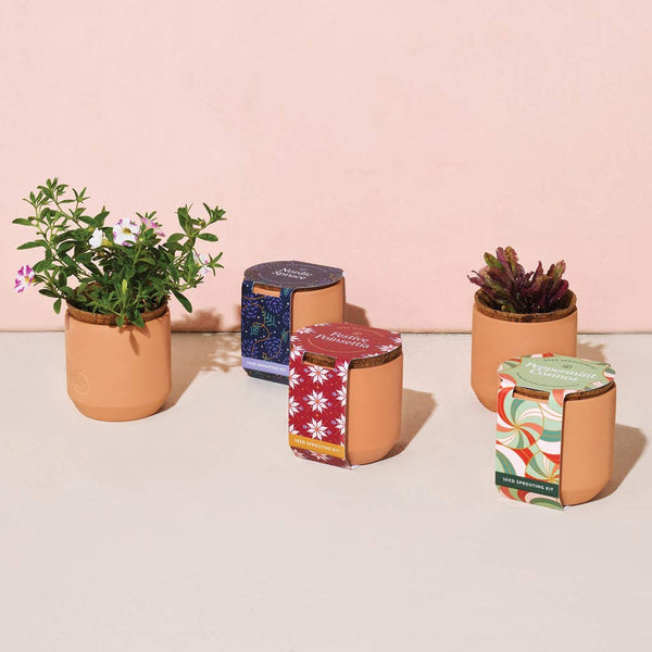Holiday - Tiny Terracotta