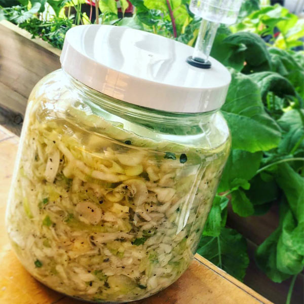 Kraut Making Kit