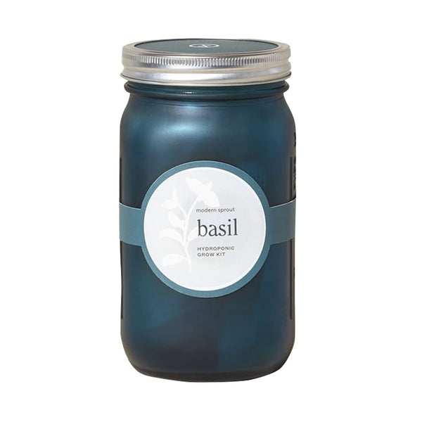 Basil Garden Jar Planter Kit - City Bird 