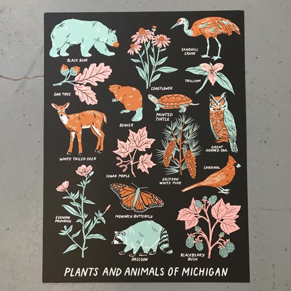 Animals and Plants of Michigan 18" x 24" Print