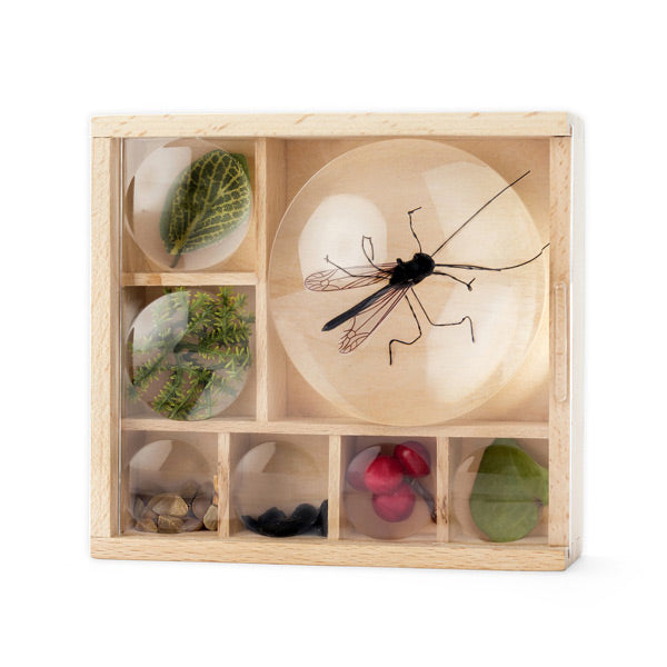 Huckleberry Bug Box - City Bird 