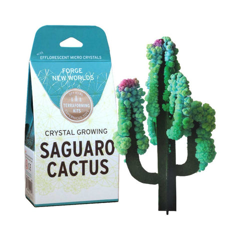 Crystal Growing Saguaro Cactus