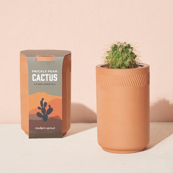 Terracotta Kit - Cactus Blend - City Bird 