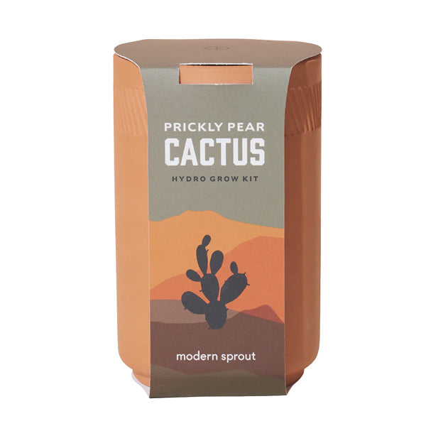 Terracotta Kit - Cactus Blend - City Bird 