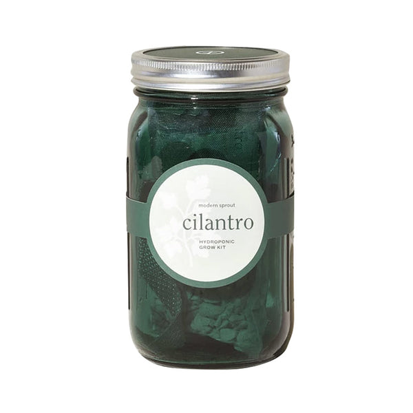 Cilantro Garden Jar Planter Kit - City Bird 