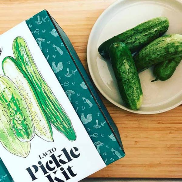 Pickle Making Kit - City Bird 