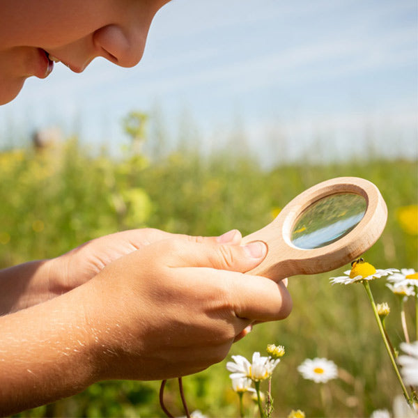 Huckleberry Dual Magnifier - City Bird 