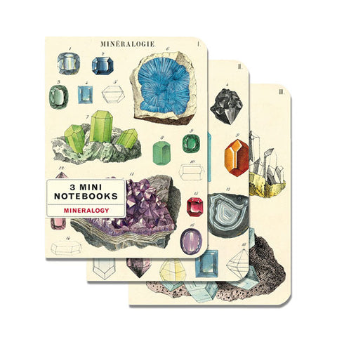 Mineralogy - 3 Mini Notebooks - City Bird 