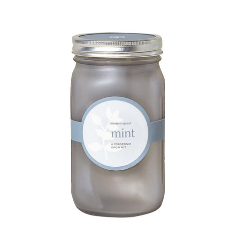 Mint Garden Jar Planter Kit