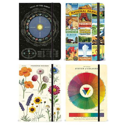 Cavallini Notebooks - 6" x 8"