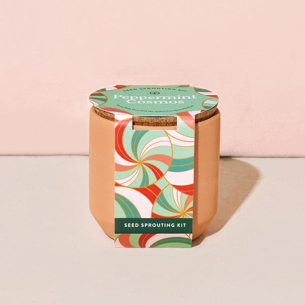 Holiday - Tiny Terracotta