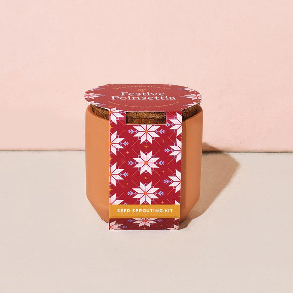 Holiday - Tiny Terracotta