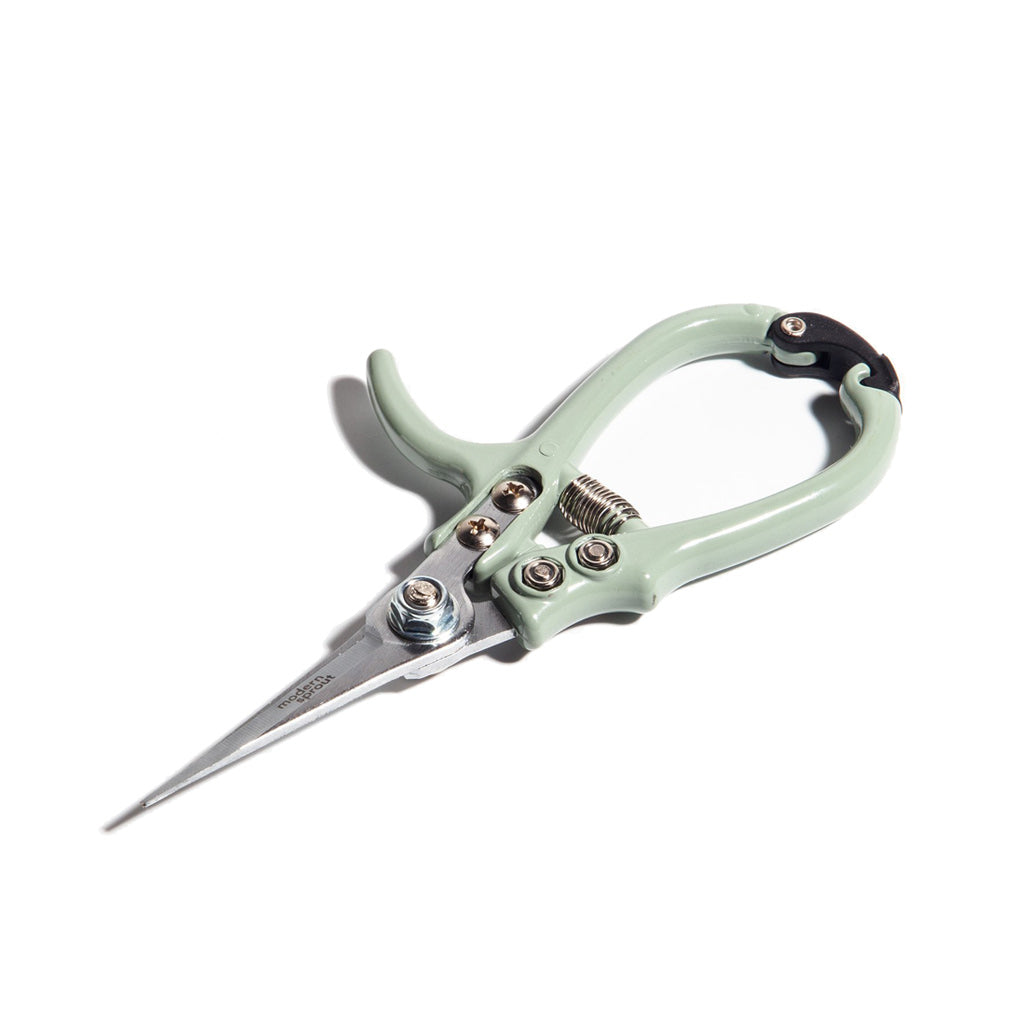 Modern Sprout Pruning Shears