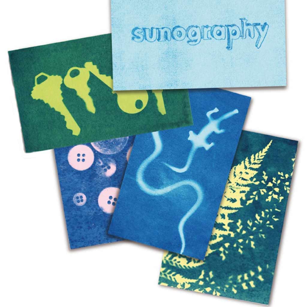 Sunography Paper Kit – City Bird